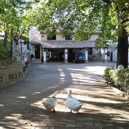 Apartment Marche - In Casale *